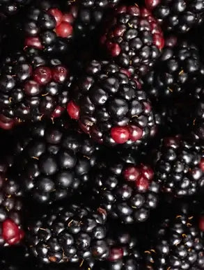 Radiant Glow Facial Wash with Aloe & Blackberry Extract
