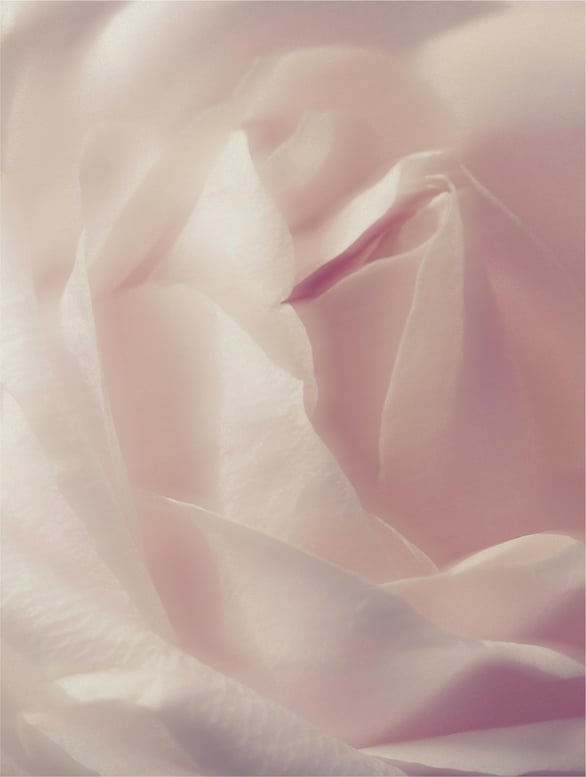 Close-up of a soft pink fabric texture